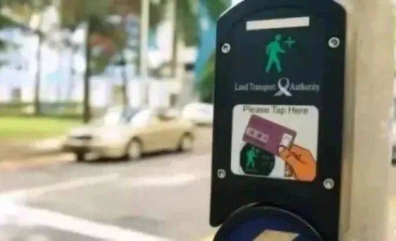 “今年,你們都離開了新加坡!我先不走了,因爲...”