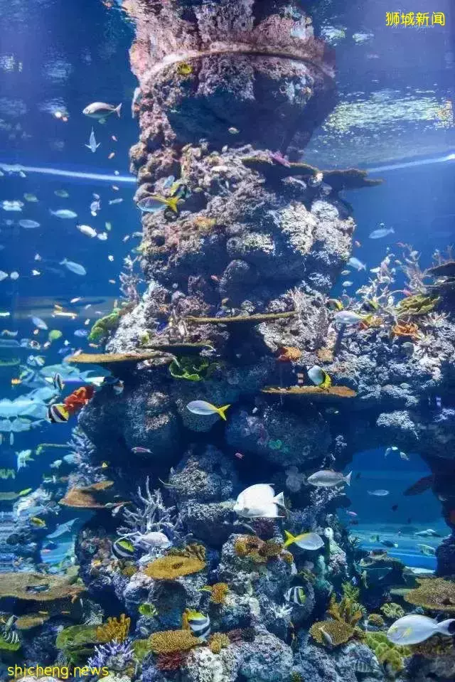 “投资者福音”在升涛湾看星辰大海,赏繁华似锦