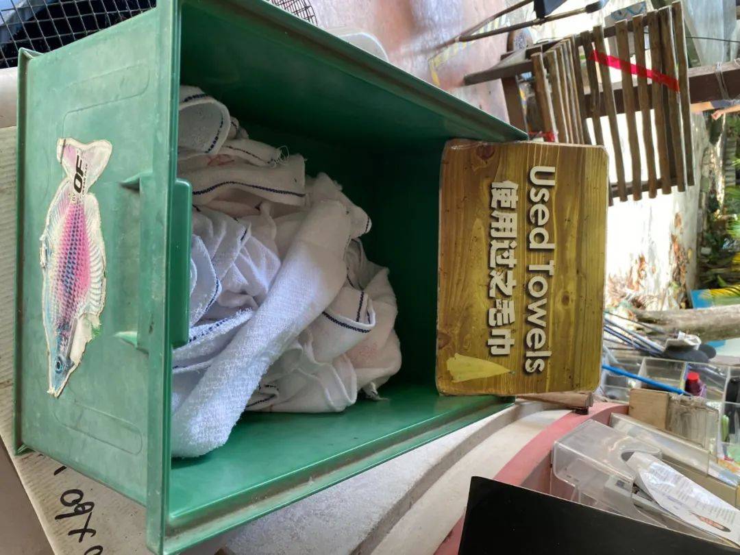 餵羊、擠奶、了解青蛙生長過程,新加坡的農場這麽牛