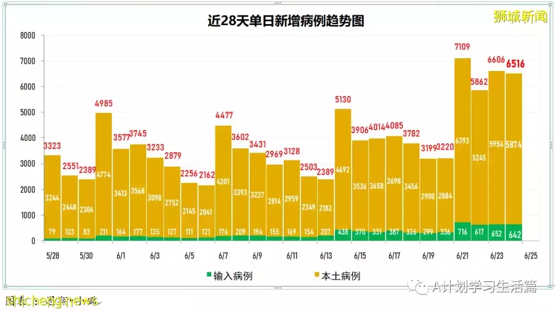 新增6168起，無人病逝；新加坡連續五天單日新增超過5000起