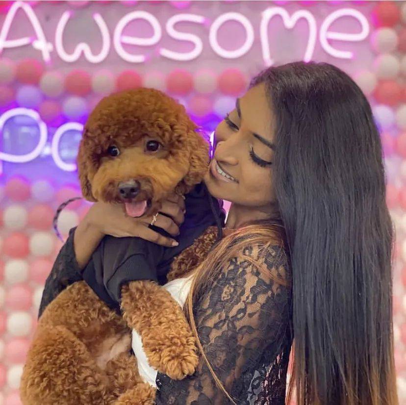 治愈系的它看一眼就愛不釋手！新加坡撸貓撸狗地圖來咯