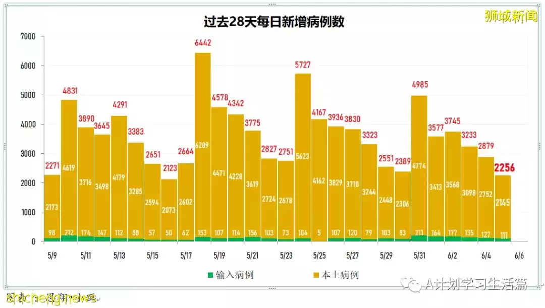 新增2162起，無人去世；澳州確診猴痘症旅客曾過境新加坡，13人須接受電話監測