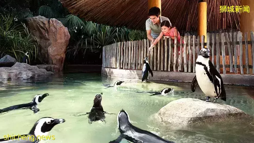 本周折扣!动物园门票五折!宜家儿童免费用餐!Pizza只要$0.99