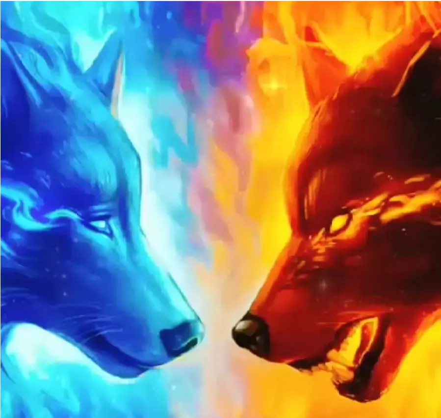 用塑料袋打包咖啡的新加坡，竟有如此多的奇葩之處