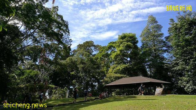 关于“新加坡”的20个有趣的冷知识，快看看你知道多少