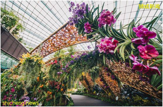 新加坡頂級設計，都在這裏