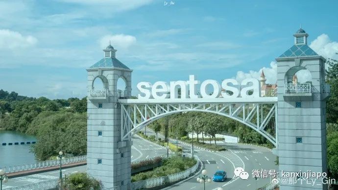 剧毒水母出没圣淘沙，这两周建议不去附近游泳