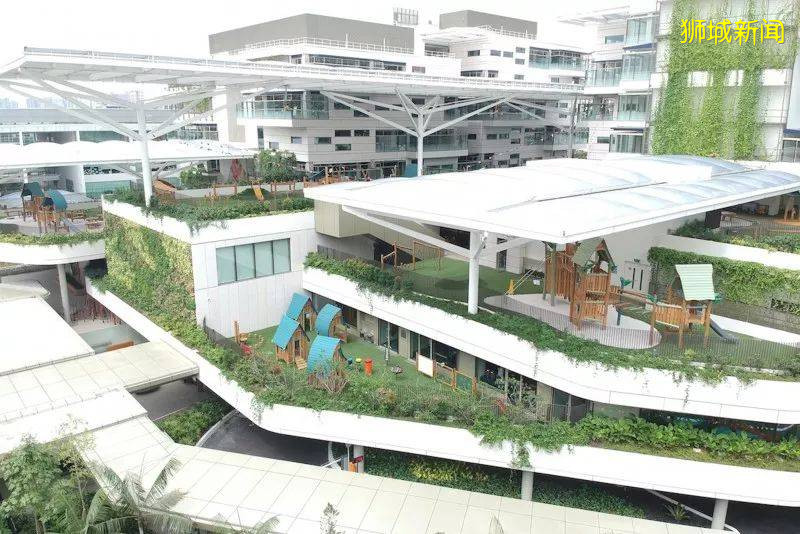 新加坡知名國際學校合集