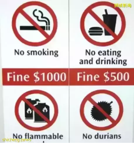 你以为的新加坡真的是你以为吗