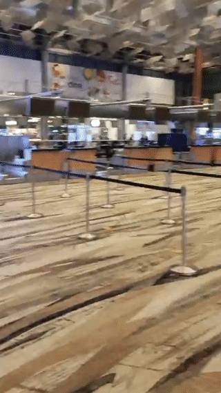 实拍!樟宜机场变样了~ 新航半年净亏损34亿新币