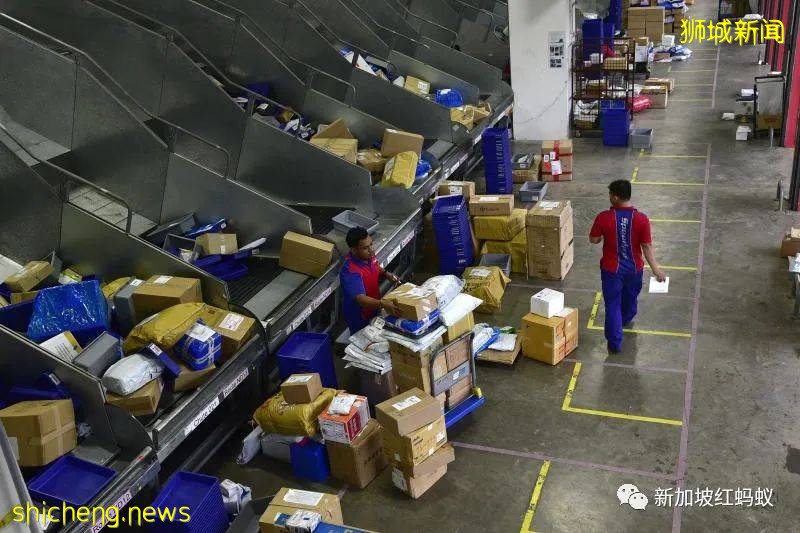 新加坡人愛上Made in China 中國電商平台成了網購首選