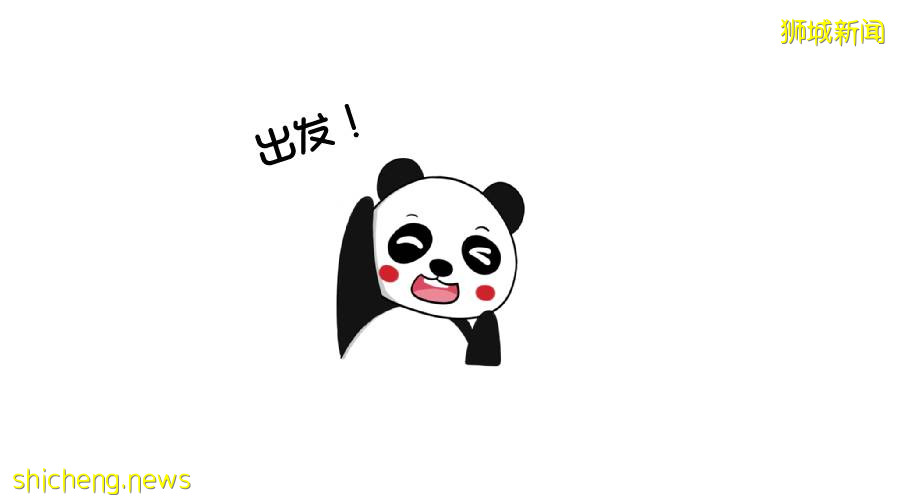 如何優雅地在新加坡接種疫苗