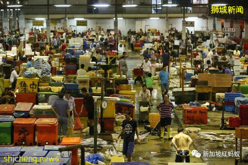 一個漁港感染群,讓新加坡全島45個小販中心一周內淪陷