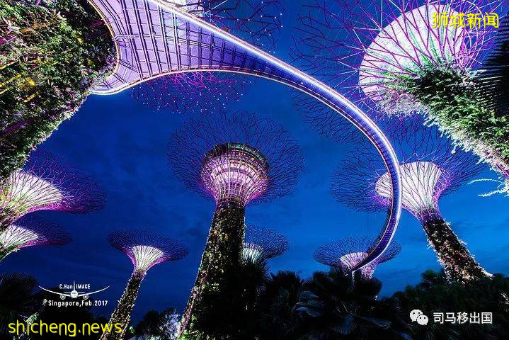 新加坡“花園中的城市”，看看這些巨樹參天的新奇景觀!