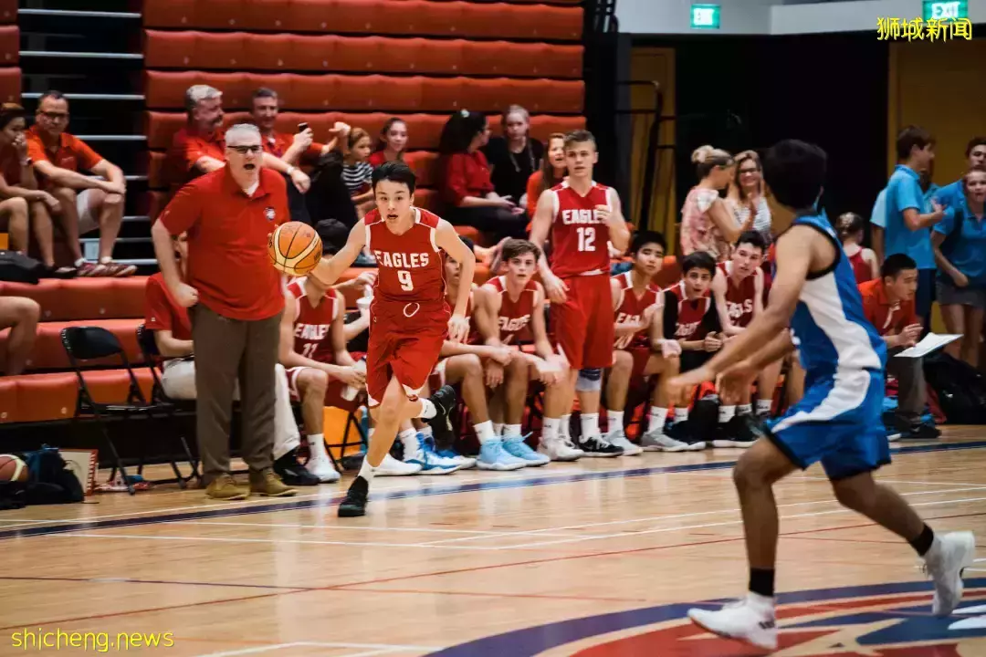 史上最強攻略!在新加坡如何選學校?國際學校vs政府學校,哪個好