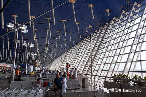 新加坡飞上海最新经历分享（包括核酸检测，隔离政策）