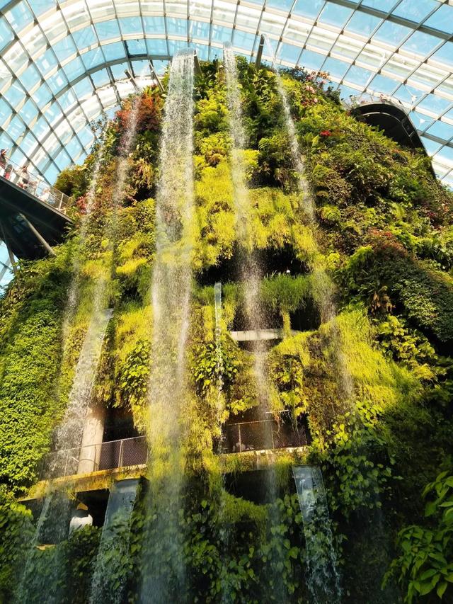 新加坡旅行|6天5晚奇遇狮城的日与夜