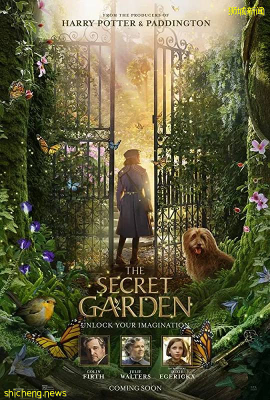 《花木蘭》《八佰》9月定檔新加坡，來看看接下來還有哪些值得期待的電影