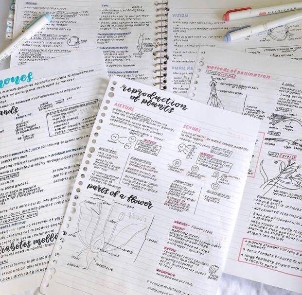 新加坡三大最难考试,大考在即的O水准考试排第几