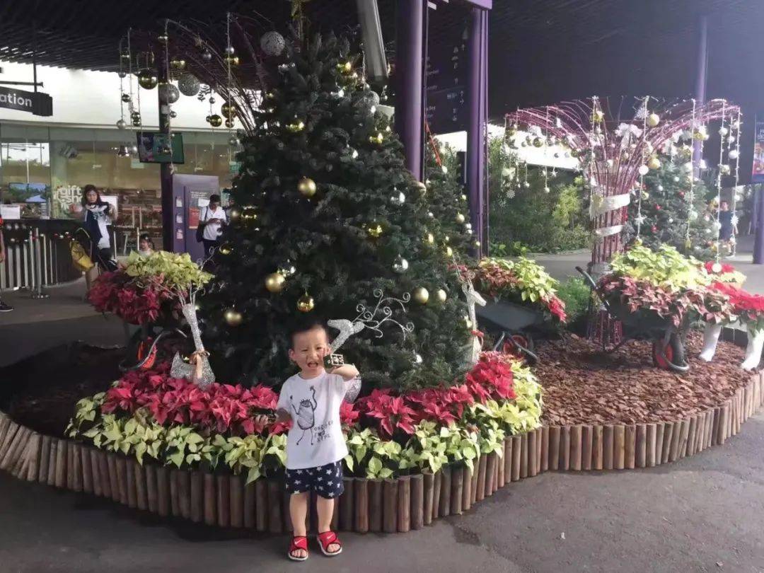 是什么让我决定不顾一切来到新加坡