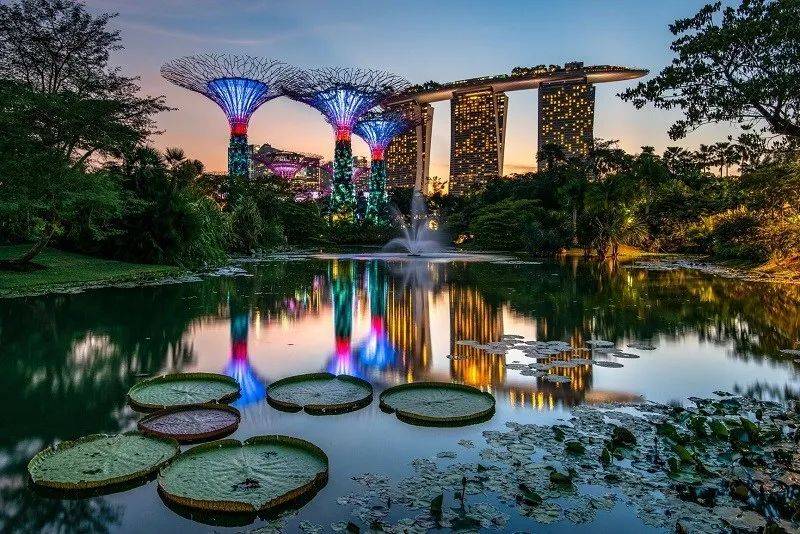 月薪3000新幣 VS 10000人民幣，再見！新加坡！還是離不開