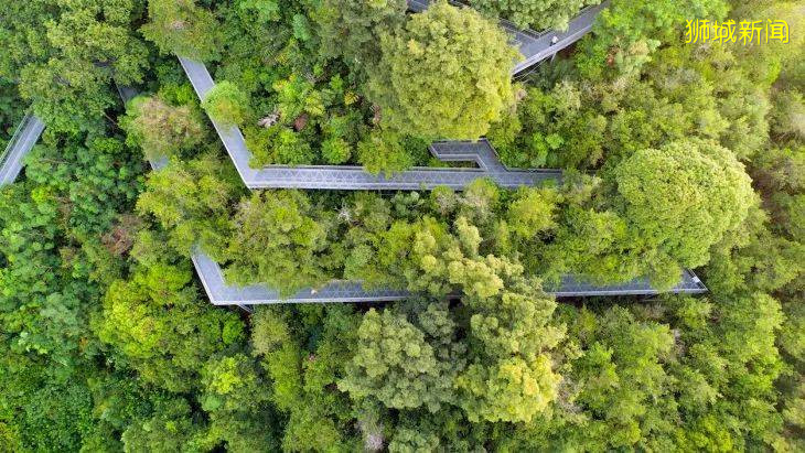 新加坡靜心之旅