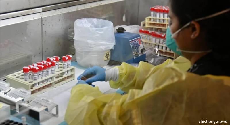 探秘新加坡COVID-19检测实验室