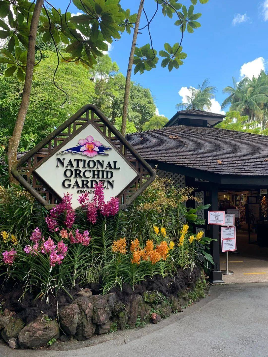 行走獅城——植物園