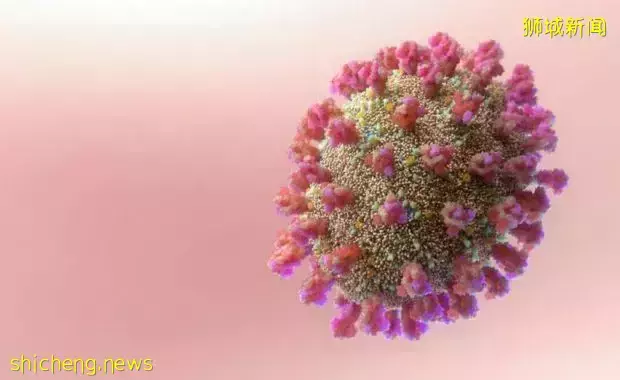 新加坡病例神秘減半,原因在這!57國發現"奧妹",死亡患者肺部高清照片首曝光