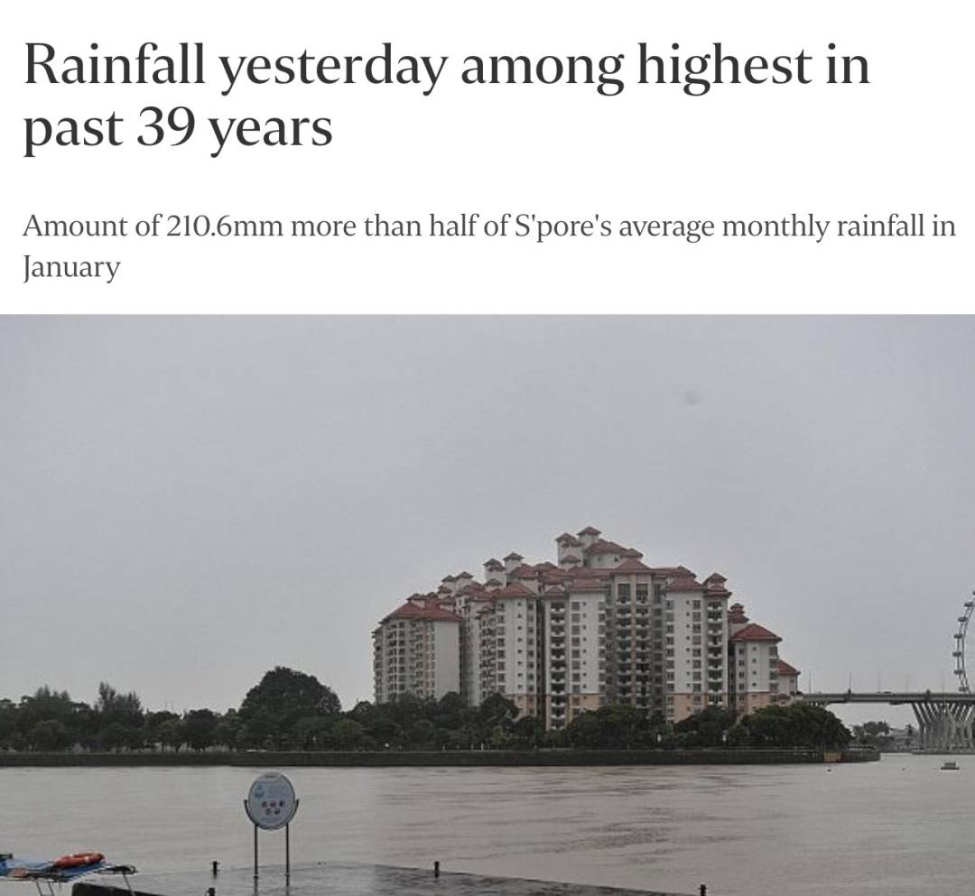 罕見!新加坡聖淘沙這條河變成了粉色,驚現大批死魚!39年創記錄暴雨太作了