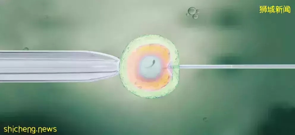 試管嬰兒不成功？可配合中醫特色療法