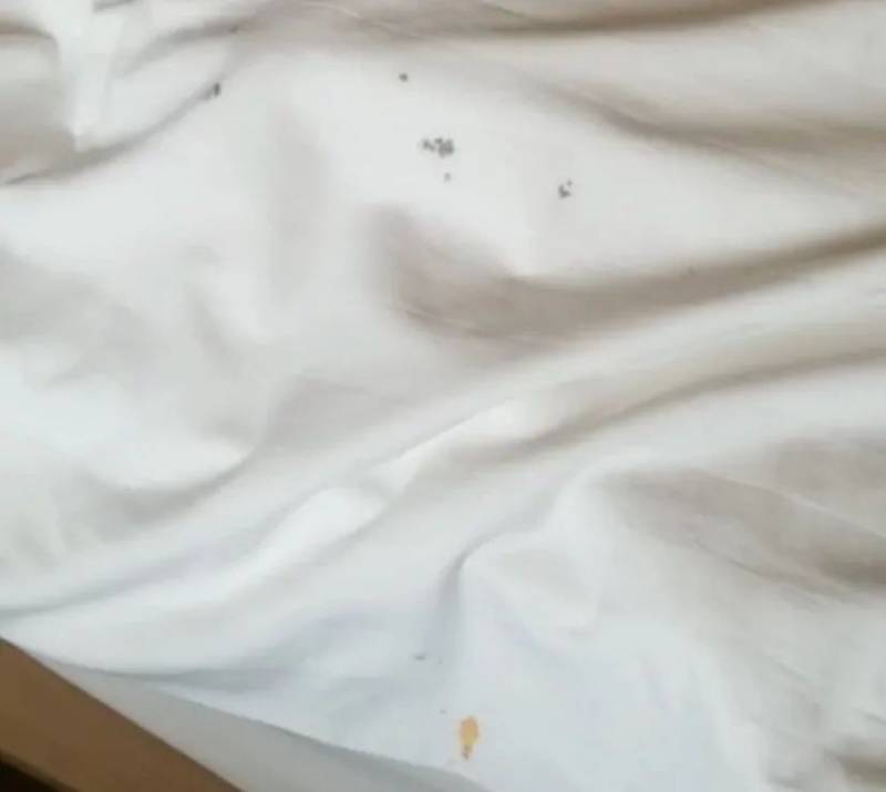 新加坡入境中国,各城市隔离酒店红黑榜!(含实拍图)