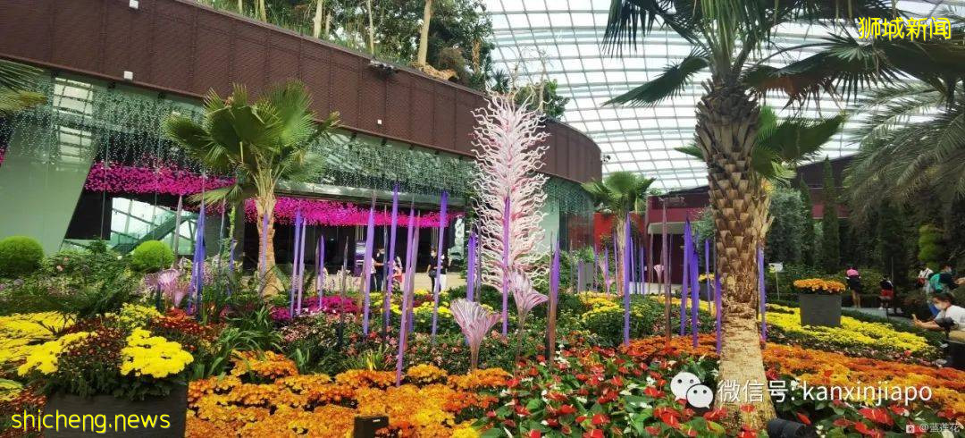 新加坡親子好去處！濱海灣～花穹～雲霧森林～空中步道半日遊