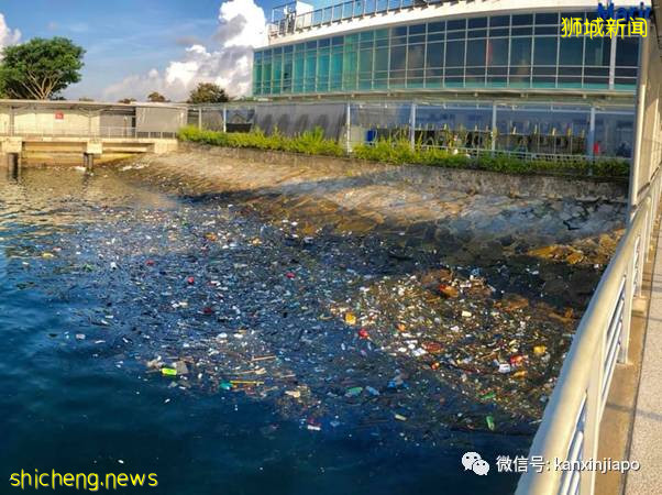 骇人!新加坡滨海码头成了露天垃圾场