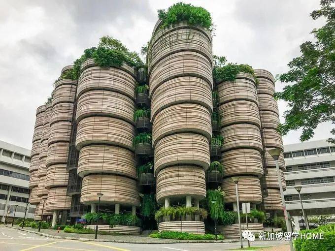 新加坡NTU 文學院