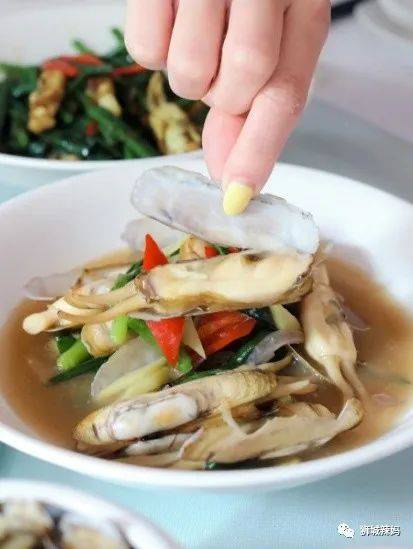 新加坡30多間孩子喜歡的餐廳，自帶免費遊樂場！樹屋、蹦床、攀岩、秋千都有（下）