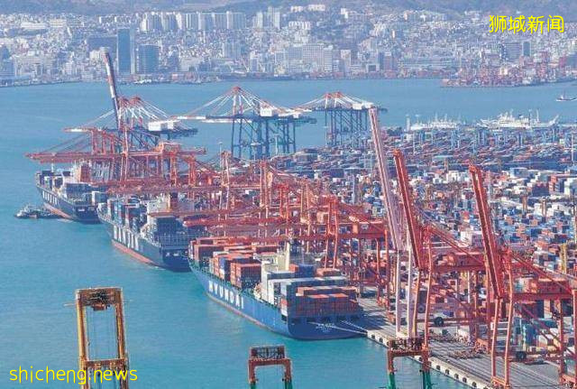 新加坡開始著急?新加坡人“低頭”求助中國,網友:直接拒絕!