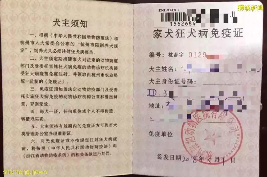 耗时6个月,隔离30天,我的宝贝终于来新加坡跟我团聚了