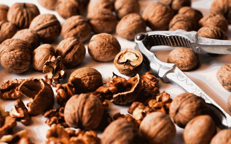 震惊!新加坡科学家公布春节零食热量,每吃一口就吞进半口脂肪!三招教你避免“过年肥”