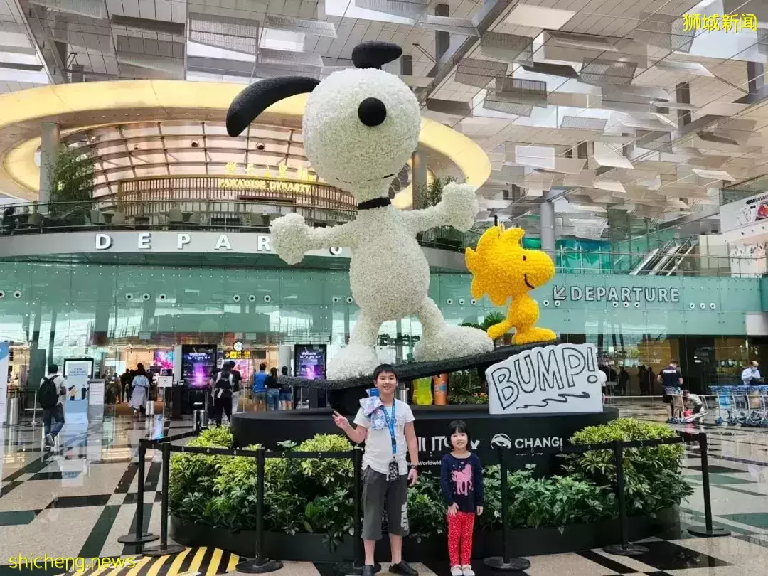 新加坡夜間嘉年華!燈光秀!$42濱海灣年卡!機場滑雪!$288機票大促