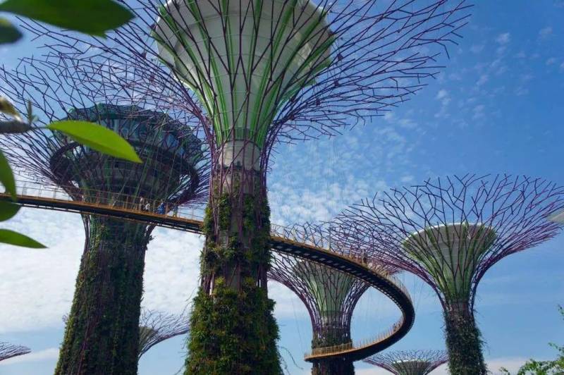 新加坡植物园,真的是个风景如画的好地方呢~(一)