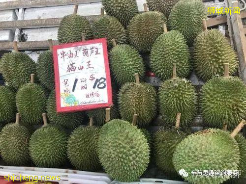 新加坡旅游攻略及指南