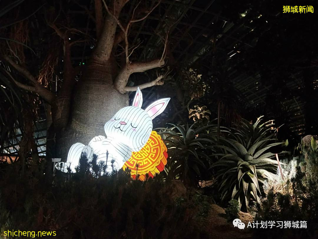 濱海灣花園中秋節燈飾，搶先看