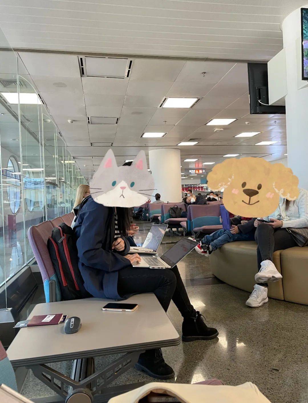 《一个NUS留学生入境新加坡的坎坷之路》