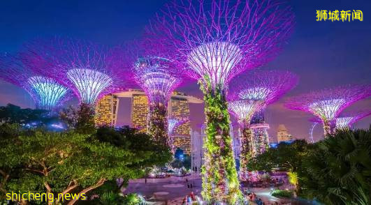 新加坡留學 給你七個無法拒絕去新加坡留學理由