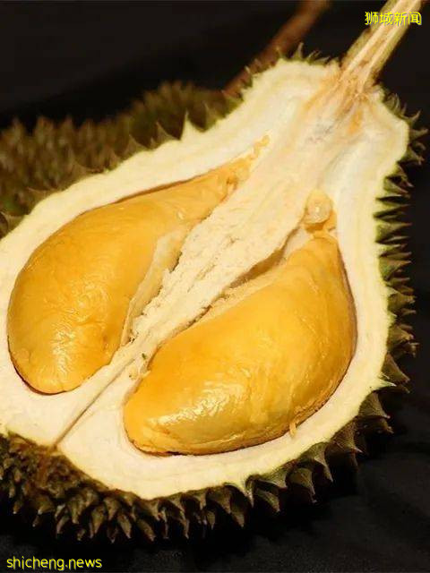 新加坡榴梿全攻略！實拍挑戰芥末和燒烤榴梿！太刺激了