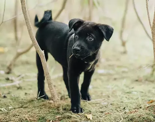 在新加坡去哪裏做義工?這22個地方,讓你和孩子的人生更有意義