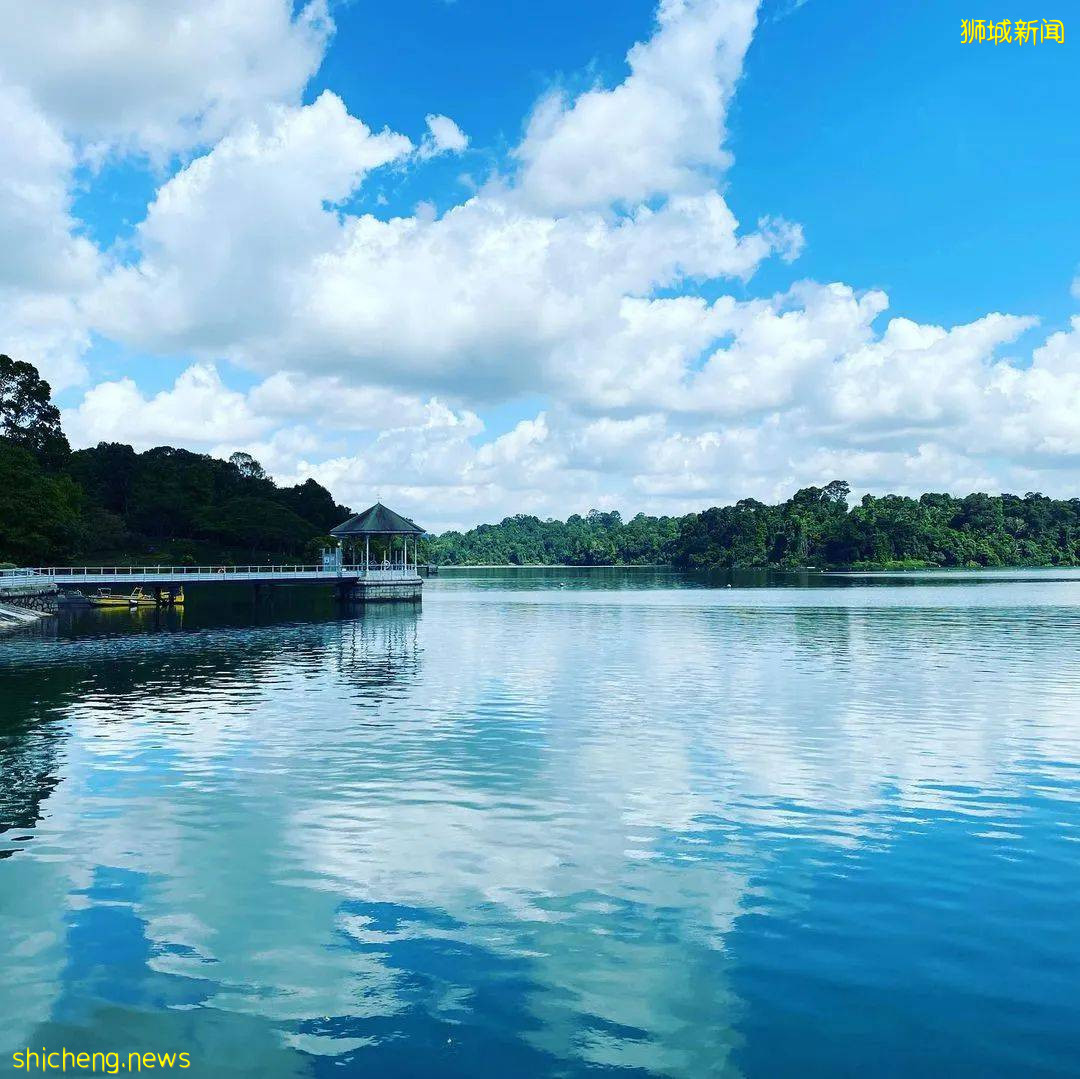 狮城MRT美食 玛丽蒙附近那些神仙打架的美食你都打过卡了吗