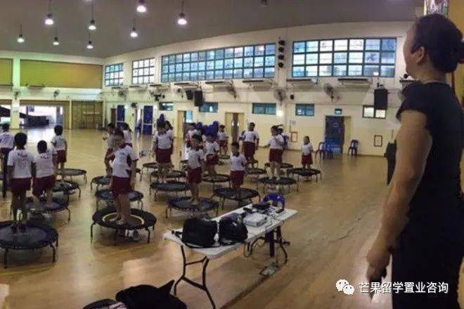 新加坡教育之政府学校《2》