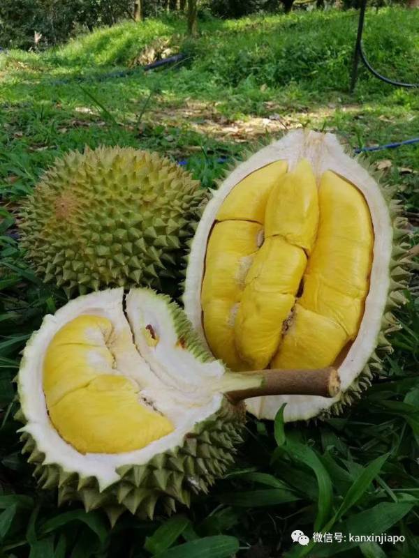 【下周优惠】电影票免费抽奖,月饼大优惠,麦当劳买一送一